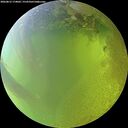 ./images/calvert/underwater/20260812/underwater20260812_174001M.jpg