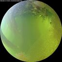 ./images/calvert/underwater/20260812/underwater20260812_174501M.jpg