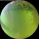 ./images/calvert/underwater/20260812/underwater20260812_175501M.jpg