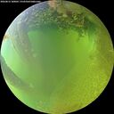./images/calvert/underwater/20260812/underwater20260812_180001M.jpg