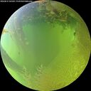 ./images/calvert/underwater/20260812/underwater20260812_181002M.jpg