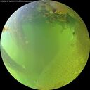 ./images/calvert/underwater/20260812/underwater20260812_181501M.jpg