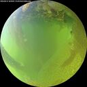 ./images/calvert/underwater/20260812/underwater20260812_182002M.jpg
