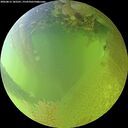 ./images/calvert/underwater/20260812/underwater20260812_182501M.jpg