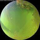./images/calvert/underwater/20260812/underwater20260812_183001M.jpg