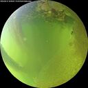 ./images/calvert/underwater/20260812/underwater20260812_184001M.jpg