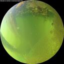 ./images/calvert/underwater/20260812/underwater20260812_184501M.jpg
