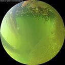 ./images/calvert/underwater/20260812/underwater20260812_185001M.jpg