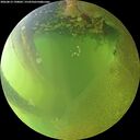 ./images/calvert/underwater/20260812/underwater20260812_190002M.jpg