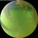 ./images/calvert/underwater/20260812/underwater20260812_190501M.jpg