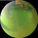 ./images/calvert/underwater/20260812/underwater20260812_191001M.jpg