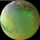 ./images/calvert/underwater/20260812/underwater20260812_193001M.jpg