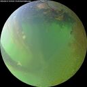 ./images/calvert/underwater/20260812/underwater20260812_193501M.jpg