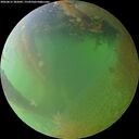 ./images/calvert/underwater/20260812/underwater20260812_202002M.jpg