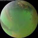 ./images/calvert/underwater/20260812/underwater20260812_202501M.jpg
