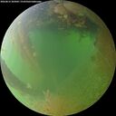 ./images/calvert/underwater/20260812/underwater20260812_203001M.jpg