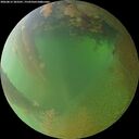 ./images/calvert/underwater/20260812/underwater20260812_203501M.jpg