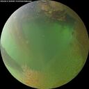 ./images/calvert/underwater/20260812/underwater20260812_204001M.jpg