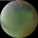 ./images/calvert/underwater/20260812/underwater20260812_205501M.jpg