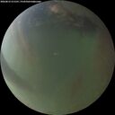 ./images/calvert/underwater/20260812/underwater20260812_211501M.jpg
