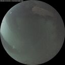 ./images/calvert/underwater/20260813/underwater20260813_055501M.jpg