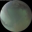 ./images/calvert/underwater/20260813/underwater20260813_060501M.jpg