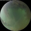 ./images/calvert/underwater/20260813/underwater20260813_062001M.jpg