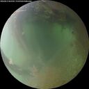 ./images/calvert/underwater/20260813/underwater20260813_062501M.jpg