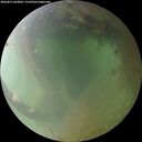 ./images/calvert/underwater/20260813/underwater20260813_063001M.jpg