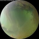 ./images/calvert/underwater/20260813/underwater20260813_064502M.jpg