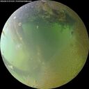 ./images/calvert/underwater/20260813/underwater20260813_071501M.jpg