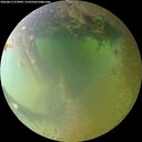 ./images/calvert/underwater/20260813/underwater20260813_072001M.jpg