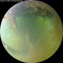 ./images/calvert/underwater/20260813/underwater20260813_073001M.jpg