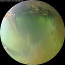 ./images/calvert/underwater/20260813/underwater20260813_073501M.jpg