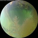 ./images/calvert/underwater/20260813/underwater20260813_074501M.jpg