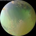 ./images/calvert/underwater/20260813/underwater20260813_075001M.jpg