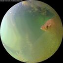 ./images/calvert/underwater/20260813/underwater20260813_075501M.jpg
