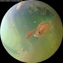 ./images/calvert/underwater/20260813/underwater20260813_080001M.jpg