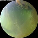 ./images/calvert/underwater/20260813/underwater20260813_080501M.jpg