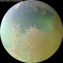 ./images/calvert/underwater/20260813/underwater20260813_081001M.jpg