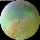 ./images/calvert/underwater/20260813/underwater20260813_082501M.jpg