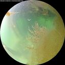 ./images/calvert/underwater/20260813/underwater20260813_083501M.jpg