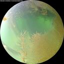 ./images/calvert/underwater/20260813/underwater20260813_084001M.jpg