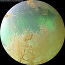 ./images/calvert/underwater/20260813/underwater20260813_084501M.jpg