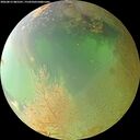 ./images/calvert/underwater/20260813/underwater20260813_085501M.jpg