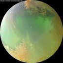 ./images/calvert/underwater/20260813/underwater20260813_090001M.jpg