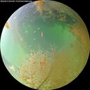 ./images/calvert/underwater/20260813/underwater20260813_091001M.jpg