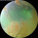 ./images/calvert/underwater/20260813/underwater20260813_091501M.jpg
