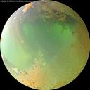 ./images/calvert/underwater/20260813/underwater20260813_092501M.jpg