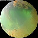 ./images/calvert/underwater/20260813/underwater20260813_093001M.jpg